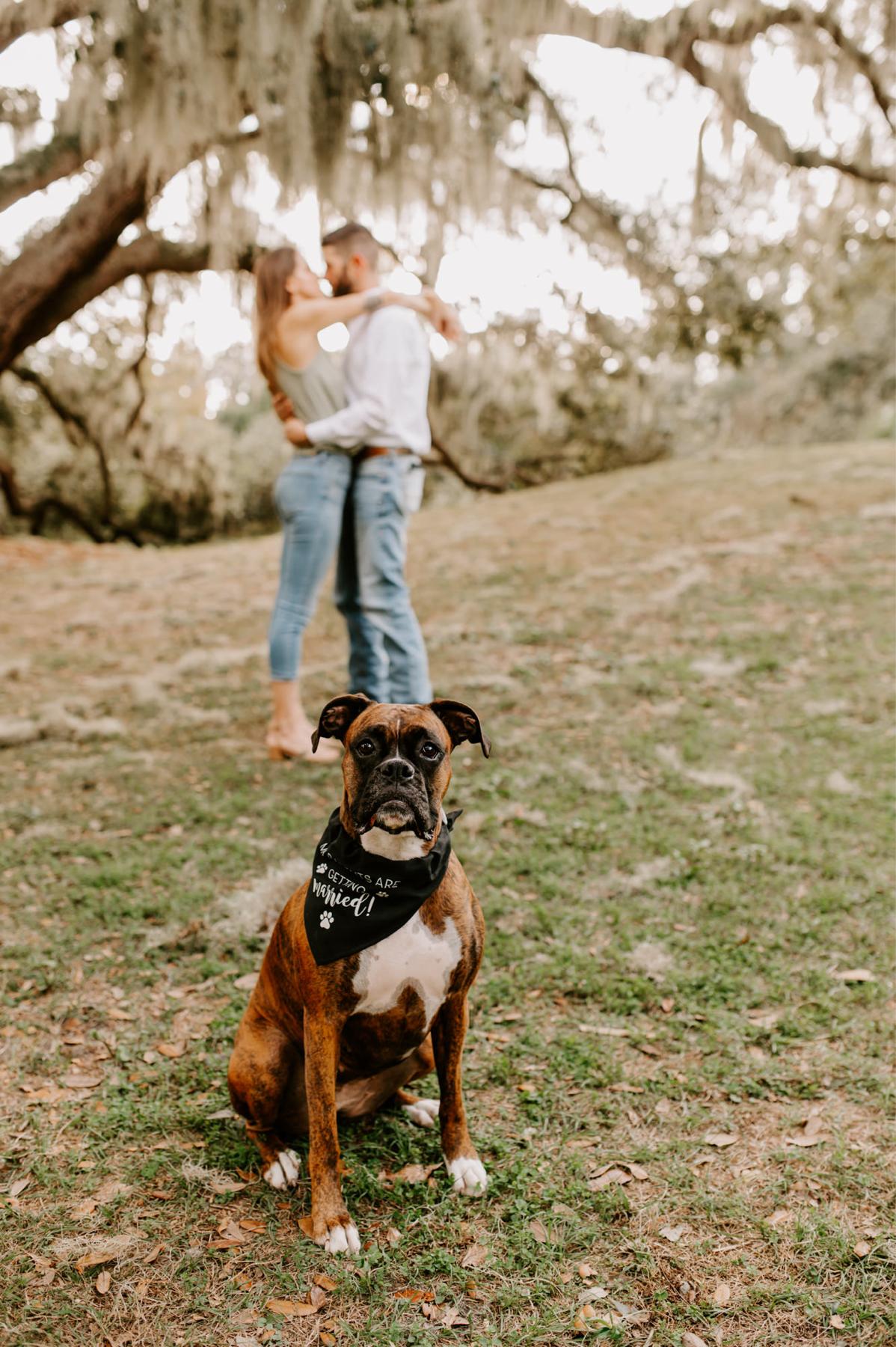 Engagement session, Nov 2022