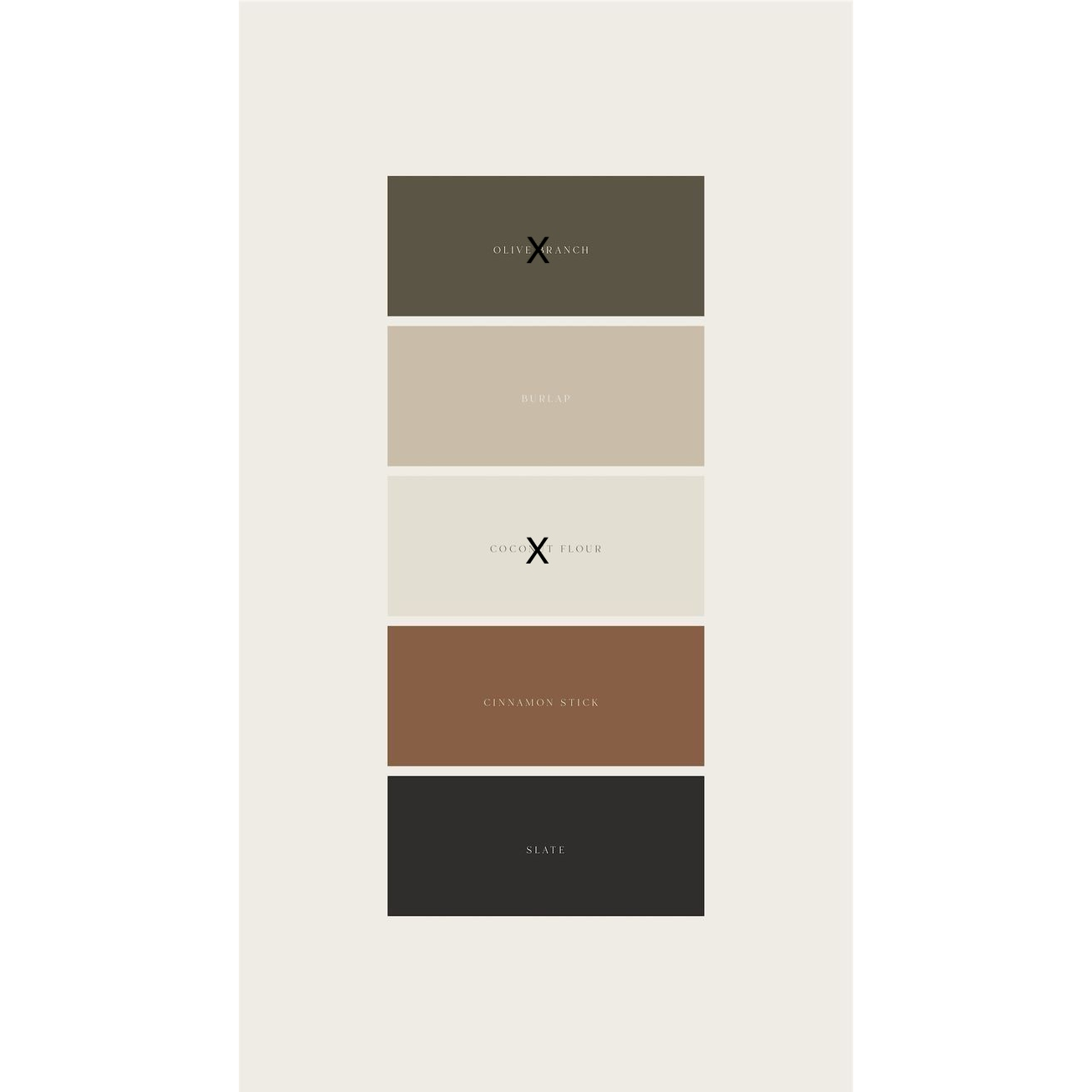 Guest Color Scheme - Only solid colors, please no patterns or green.