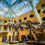 Fernbank Museum of Science