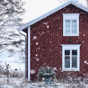 Future Home Fund ♥