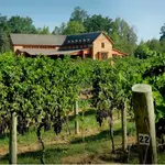 New Kent Wine Trip