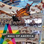 Mall of America®