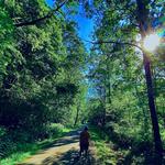 Little Miami Scenic Trail