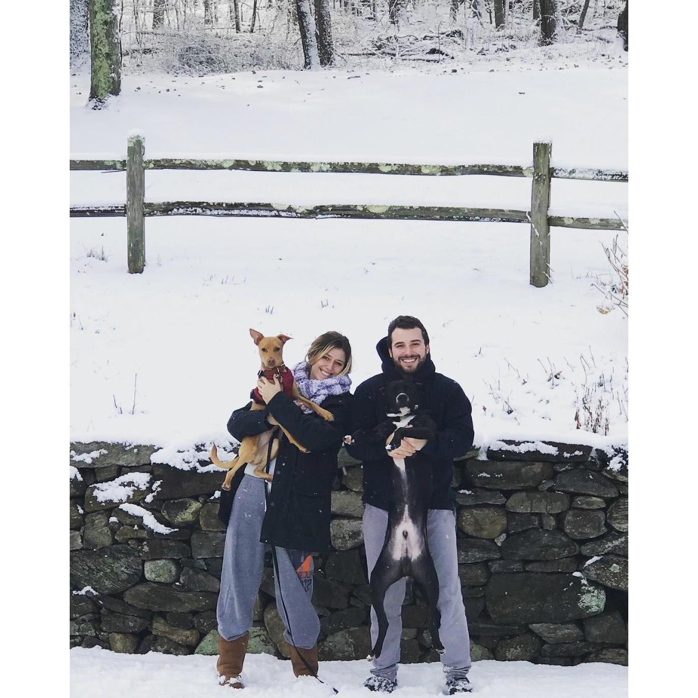 Christmas Day
Brewster, NY - December 2017