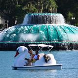 Lake Eola Park Swan Boats
