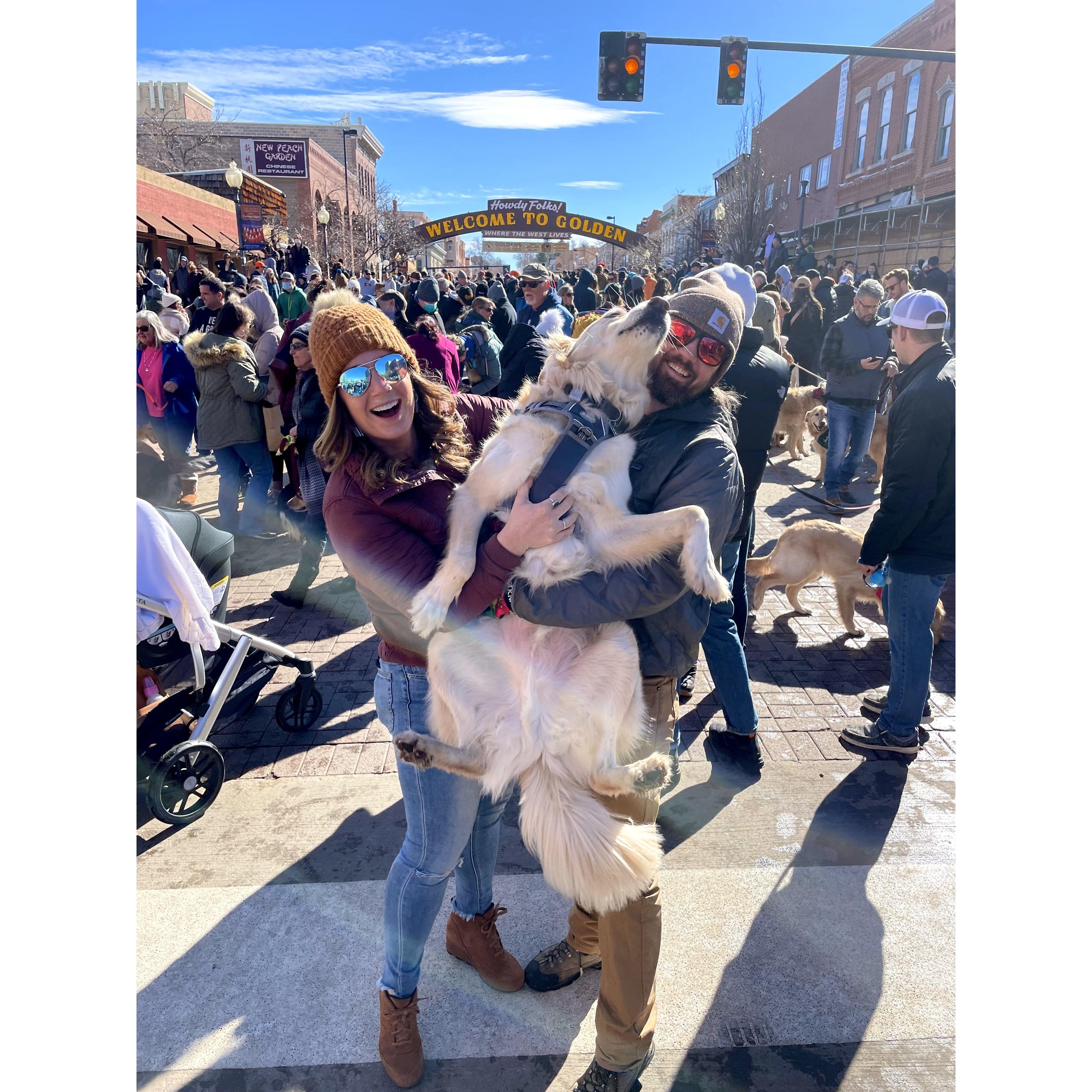 National Golden Retriever Day in Golden, CO