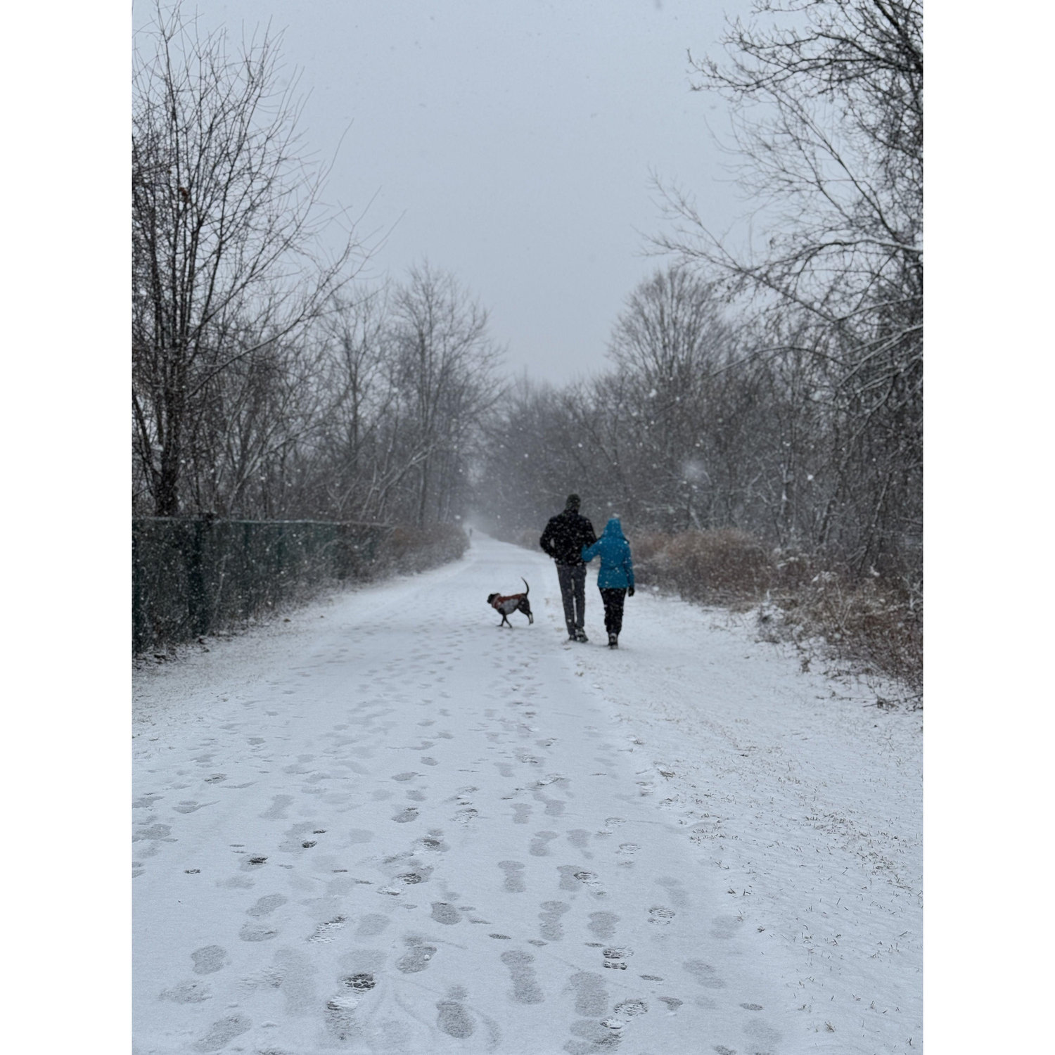 this is what dating in winter is like pt I