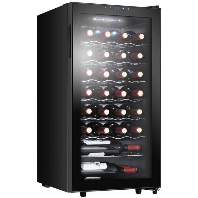 STAIGIS Wine Cooler Refrigerator, Freestanding Wine Fridge w/ 28 Bottles Capacity & 40-66℉ Temperature Control, Mini Fridge with Glass Door
