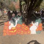 Vala's Pumpkin Patch & Apple Orchard