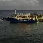 Snorkeling and/or scuba diving with Sea Saba