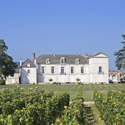 Château de Meursault wine tasting in Burgundy
