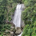 El Yunque National Forest