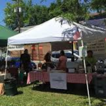 Millerton Farmers Market