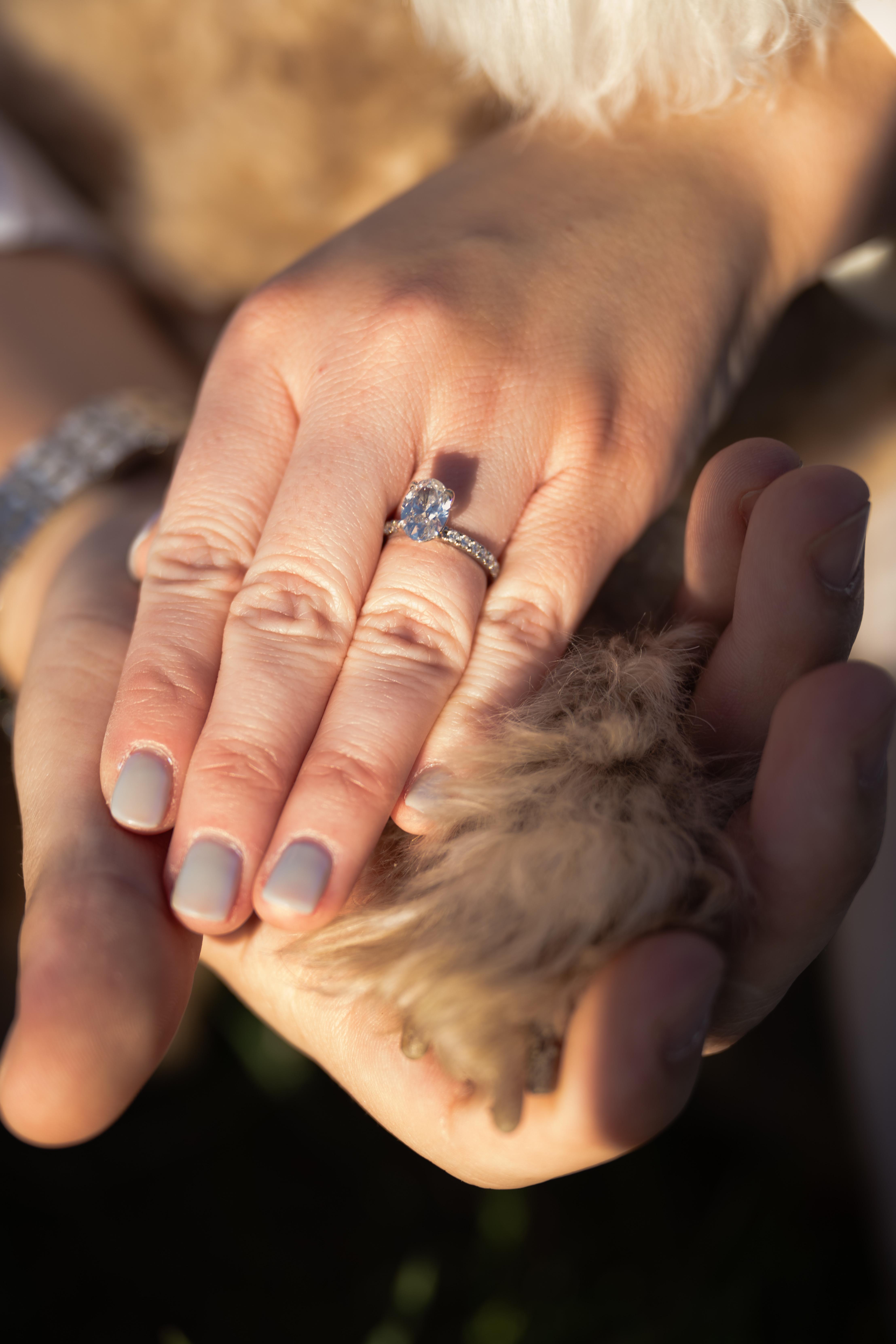 The Wedding Website of Paige Resnick and Dalton McNatt