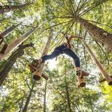 Adirondack Extreme Adventure Course
