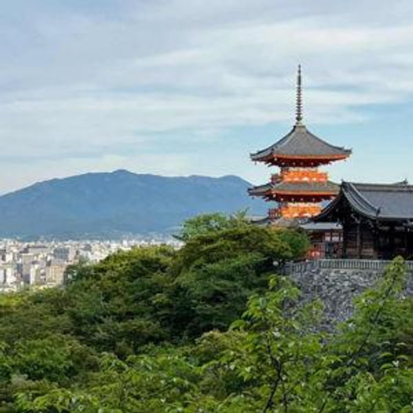 Our Honeymoon in Japan