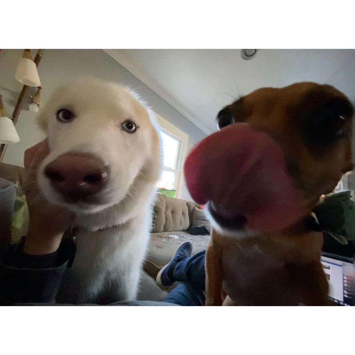 The Kids