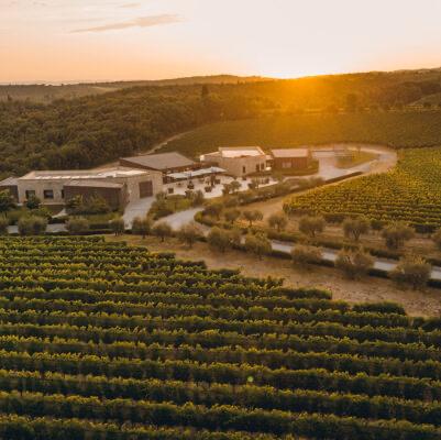 Wine Tasting in Italy!