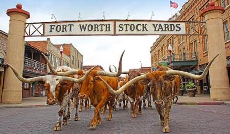 The Wedding Website of Lucy Doubrava and Ben Reynolds