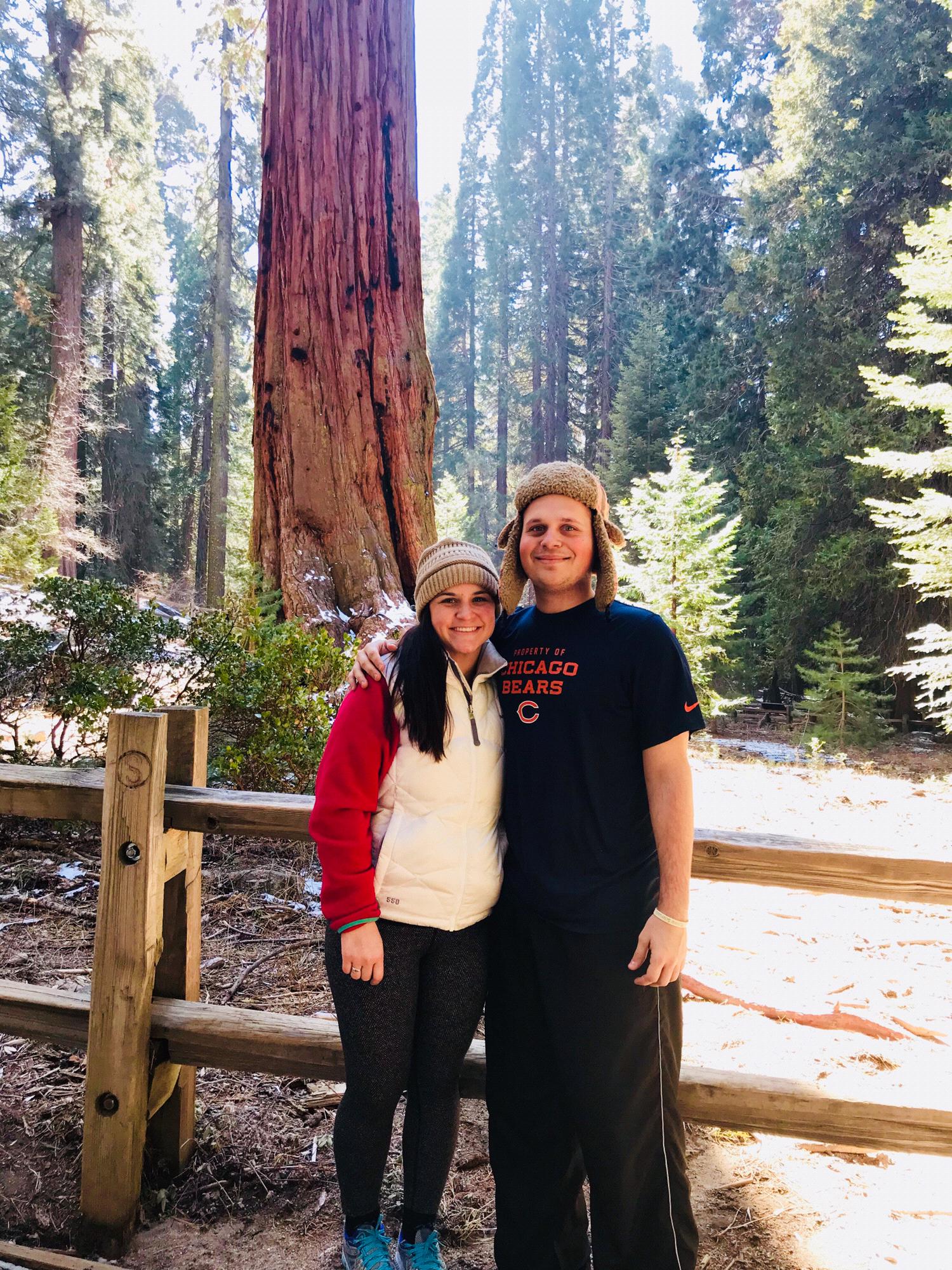 Sequoia National Park, February 2018.