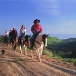 Circle Bar B Guest Ranch & Stables