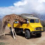 Out of Africa Wildlife Park