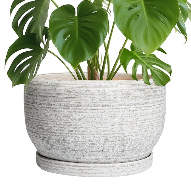 SQOWL Ceramic Flower Pots - 10 Inch Plant Pot Indoor with Drainage Hole and Saucer, Modern Ceramic Planter Outdoor, Decorative Large Round Planter, Bedroom Decor, Plant Lovers Gifts, Gray