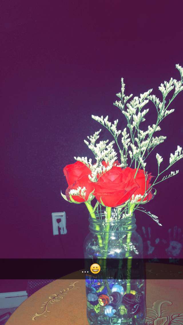 The beautiful roses that won my heart! 🌹