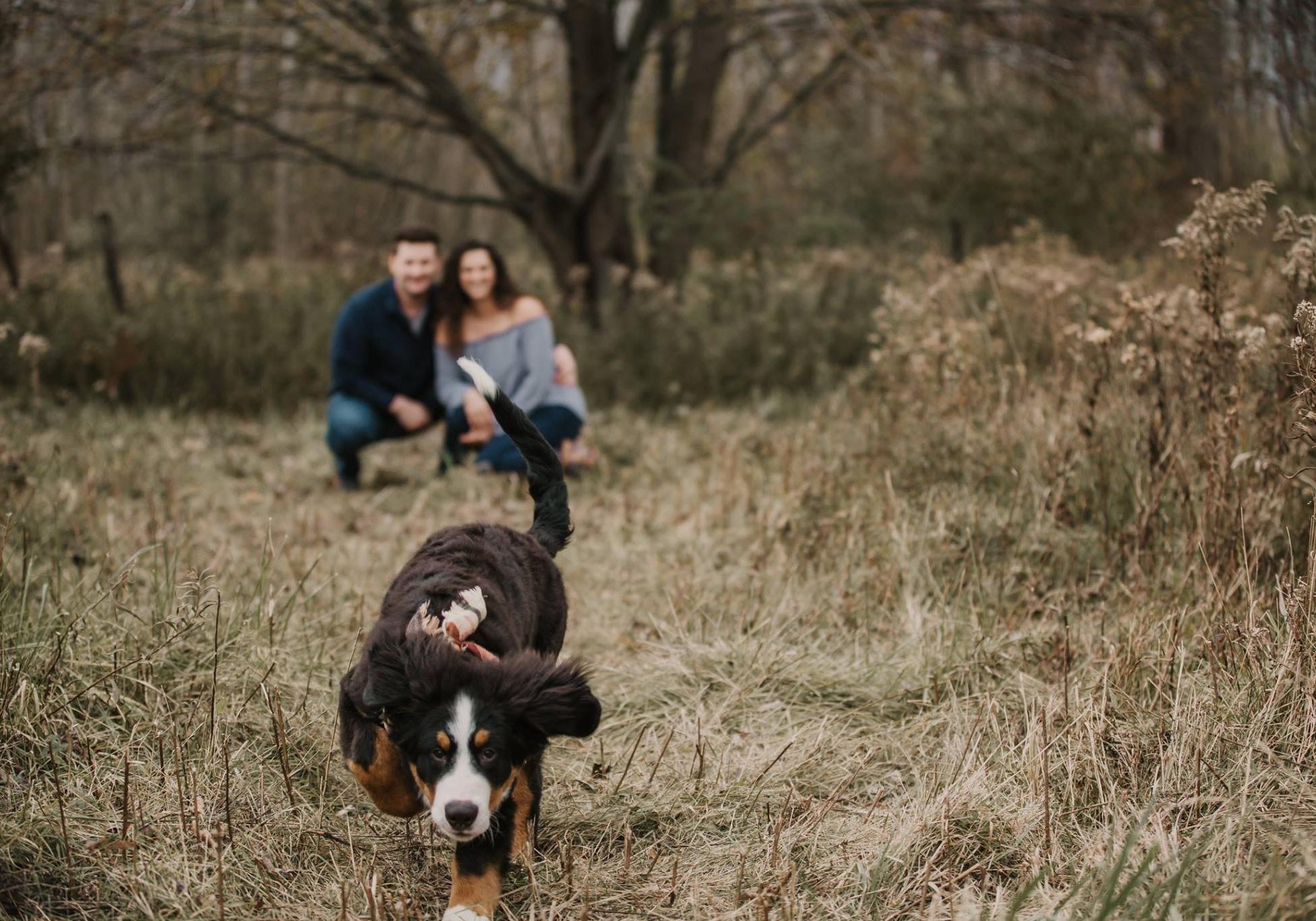 The Wedding Website of Karlee Schreur and Marc MacVean