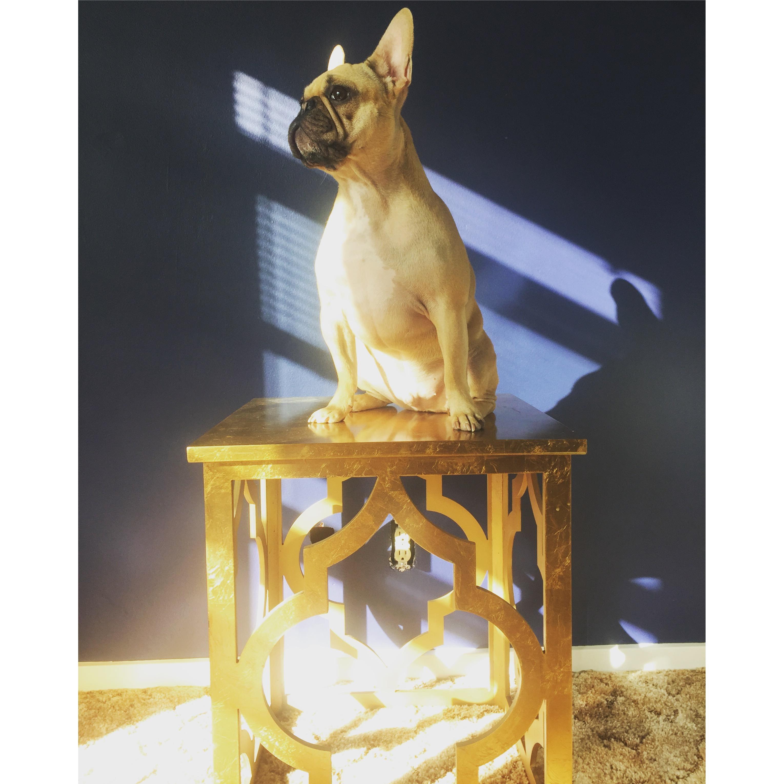 King BONK
