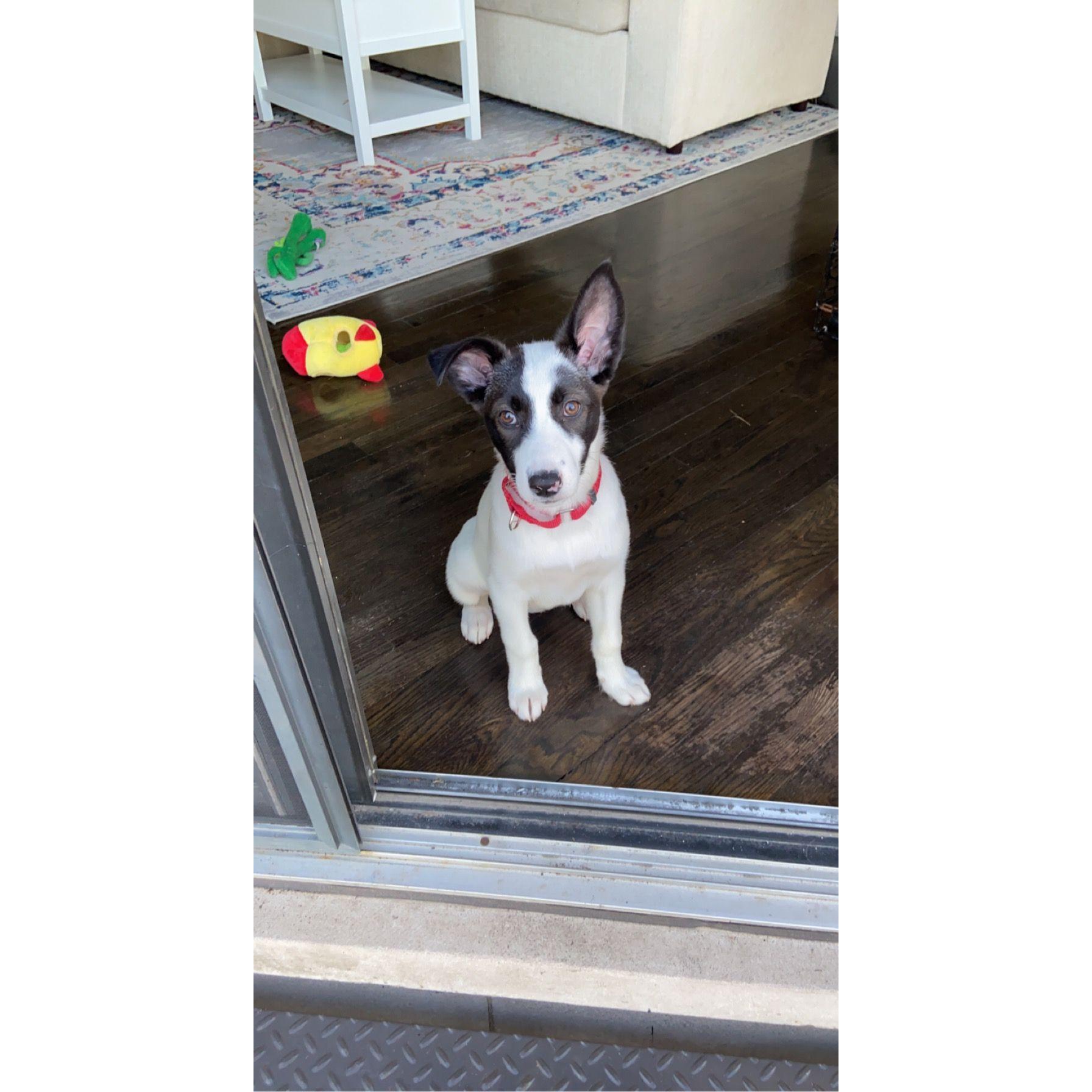 First day of having our Layla Baby Home