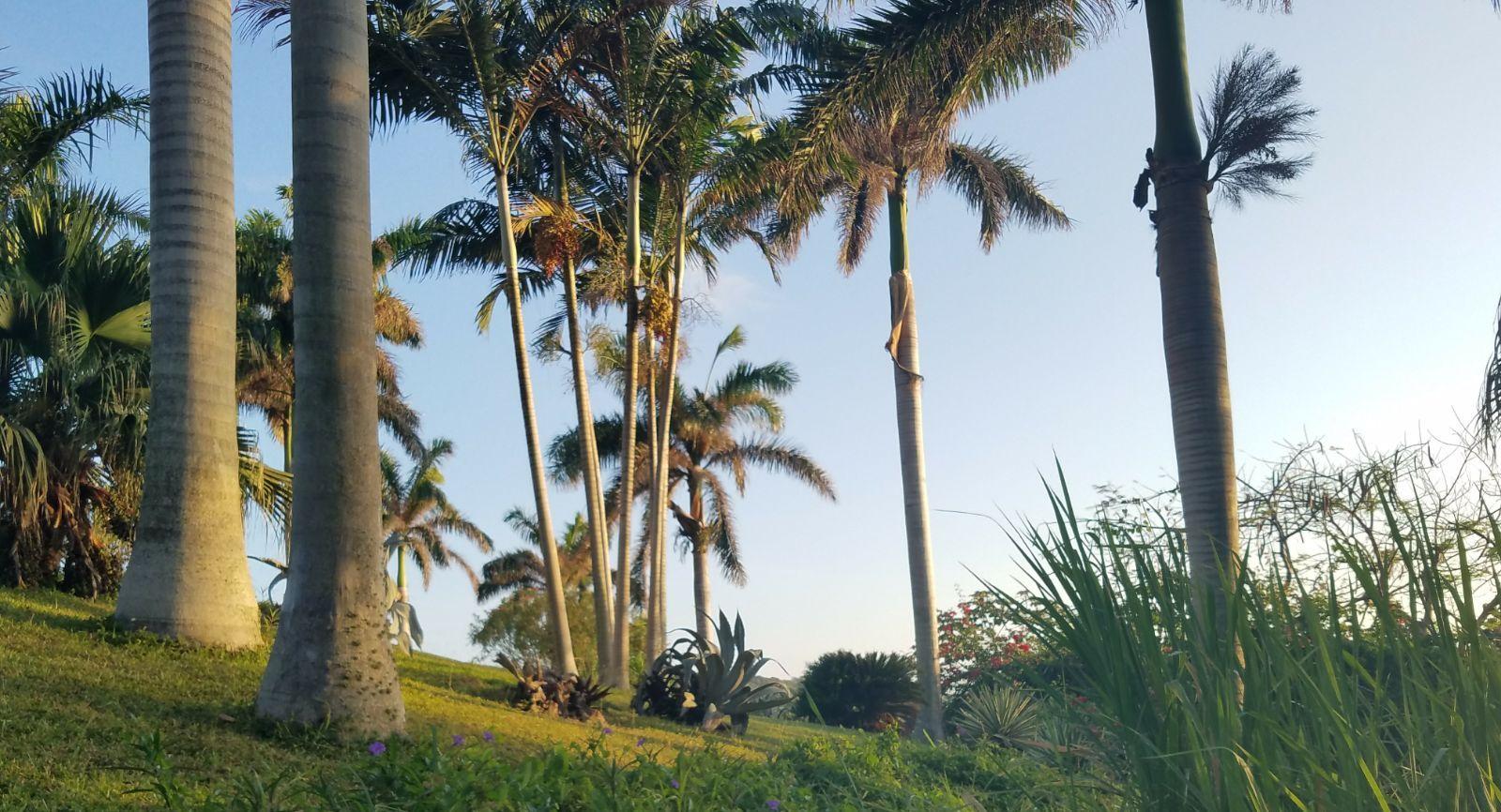 The Wedding Website of Elizabeth Anderson and John Dunbar