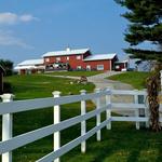 Enjoy Hilltop Orchards & Furnace Brook Winery
