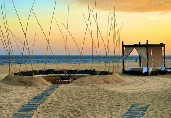 The Wedding Website of Milana Giacalone and Alex Kalé