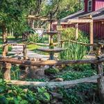 Fantastic Umbrella Factory