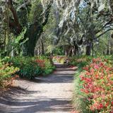 Hampton Park