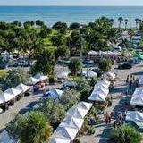 Neighborhood Farmers Market at Tradition Square- Sunday's