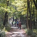 Fox River Trail