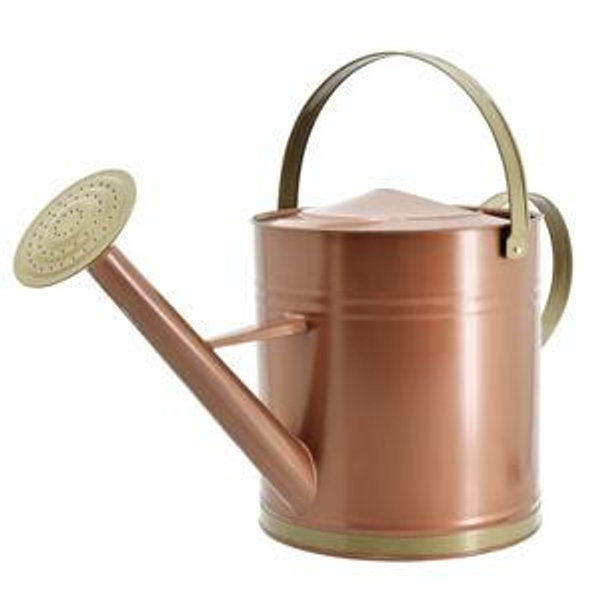 Bronze 2.6-Gallon Bronze Metal Classic Watering Can