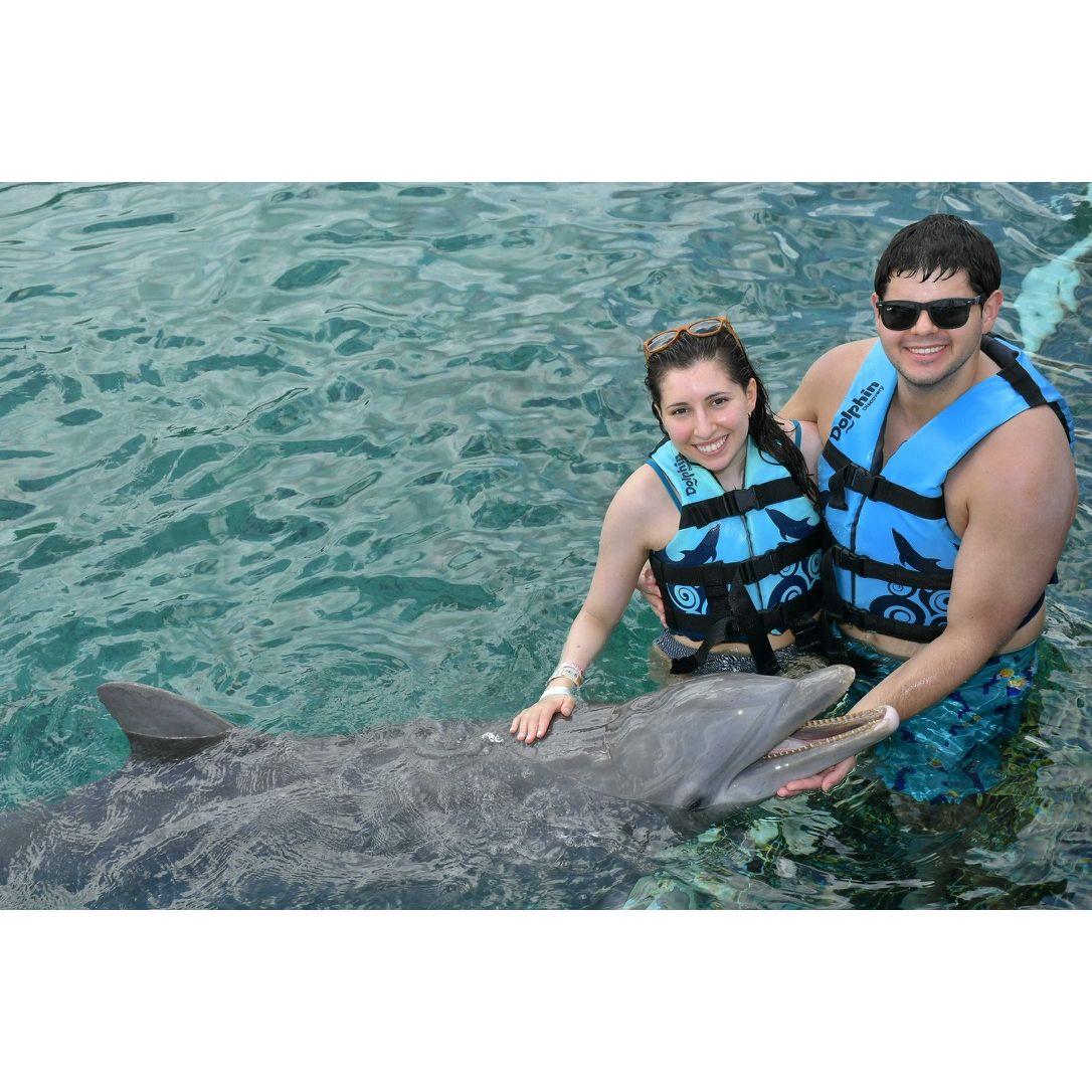 Dolphin Discovery in Cozumel - 2023