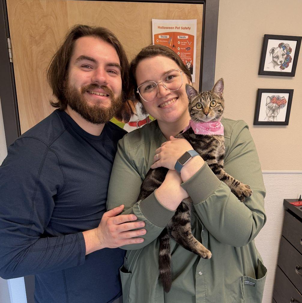Bathory's first vet visit.
