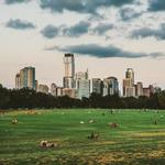 Zilker Park
