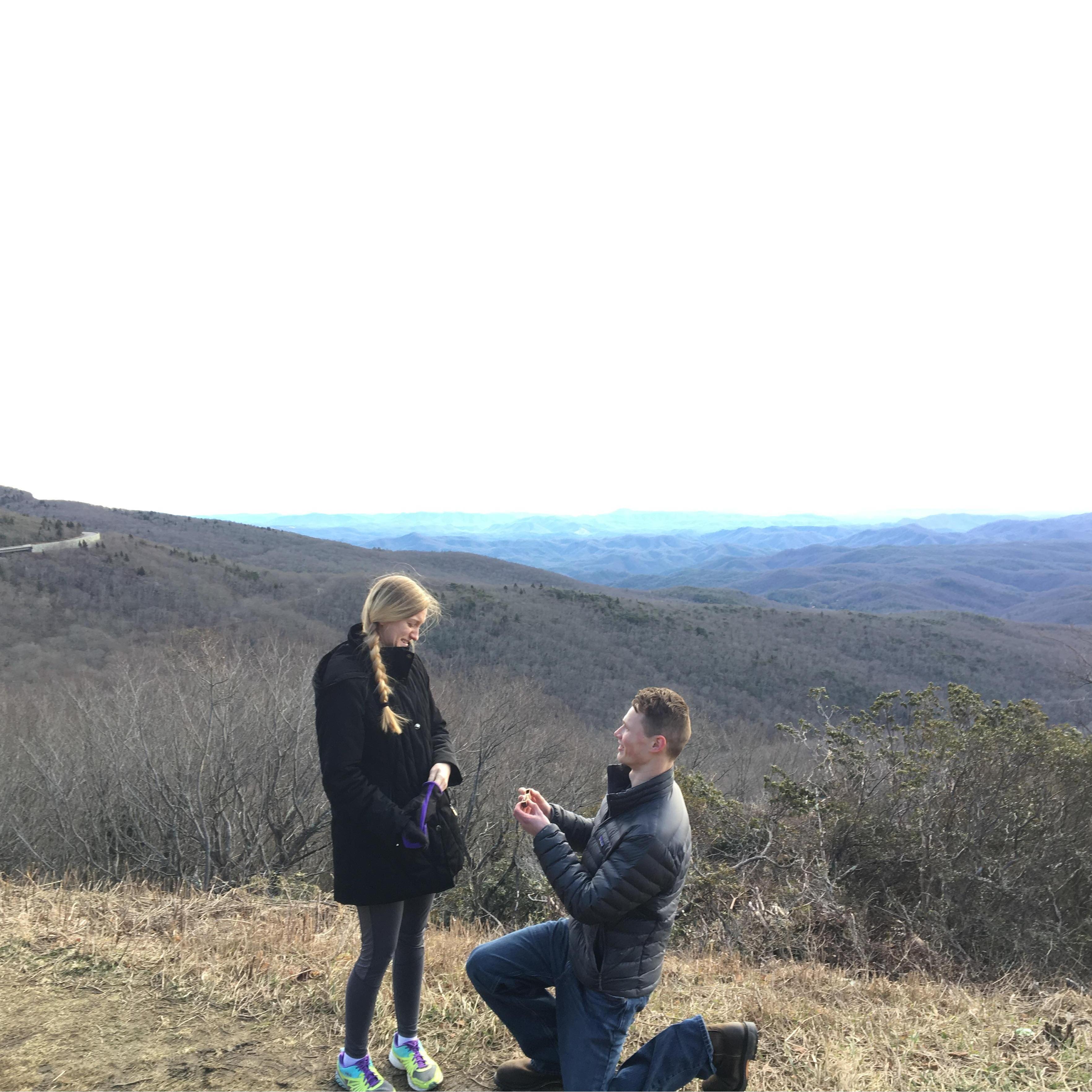The Proposal- January 6, 2019