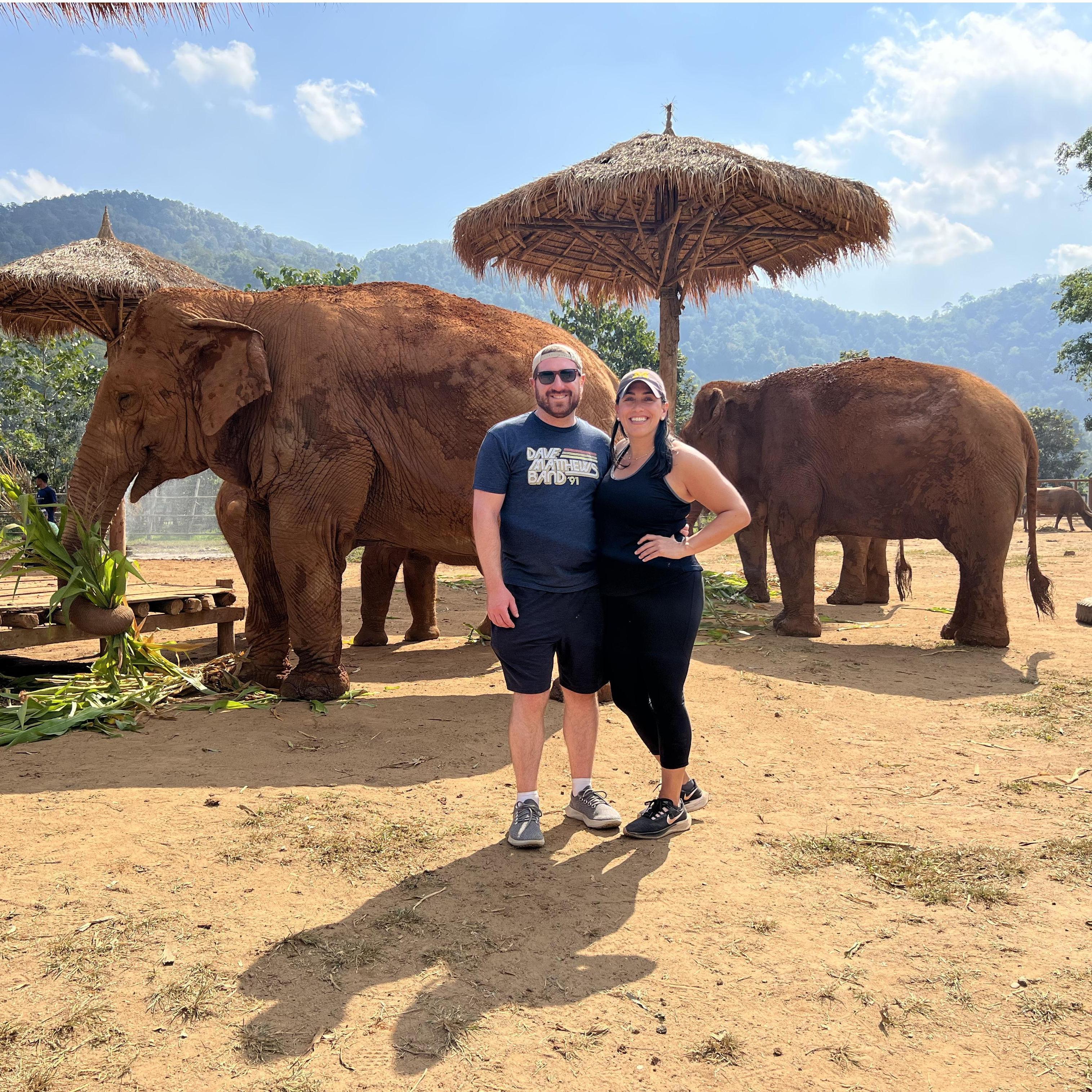 The one where we hung out with elephants in Chiang Mai, Thailand
