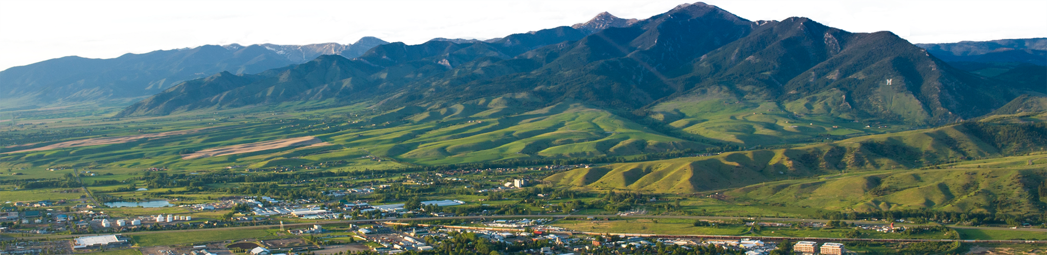 The Wedding Website of Forest Ledger and Sofia Shomento