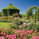 Elizabeth Park Rose Garden