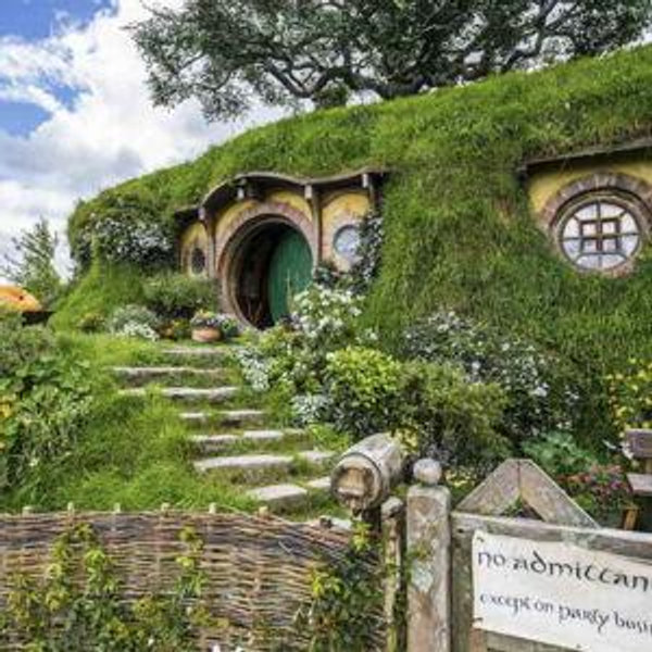 New Zealand Honeymoon