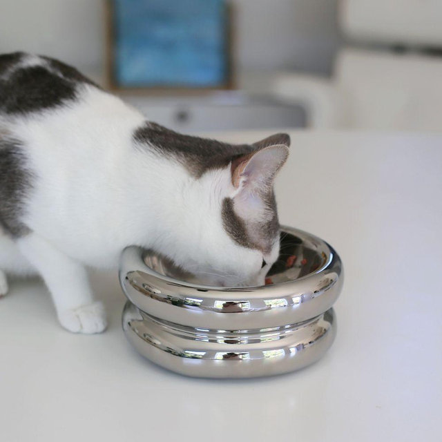 Chrome Halo Elevated Pet Bowl