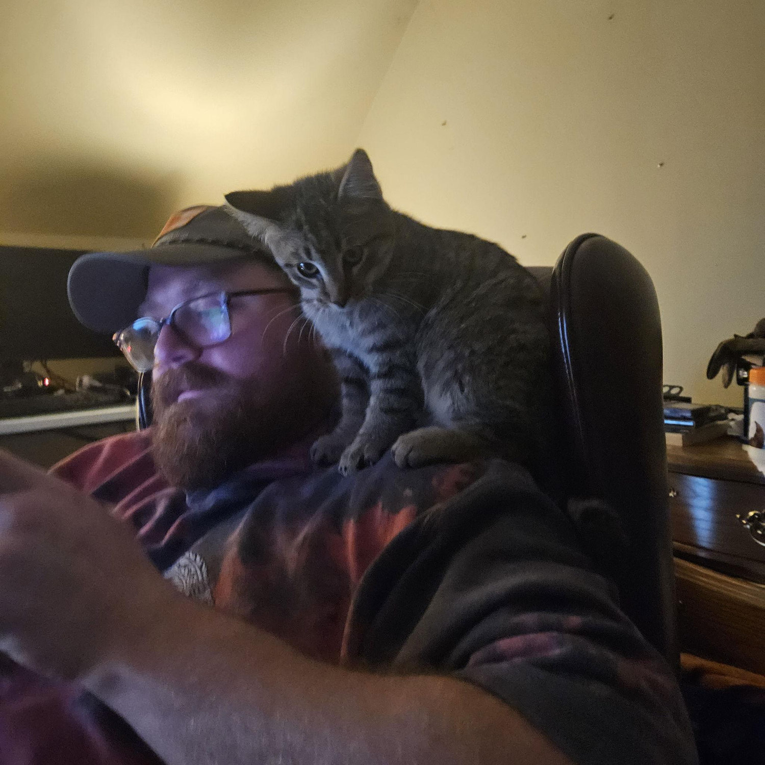 Beau & the cat (Chichi honey boo boo child) he almost let Raegan steal from a neighboring family, even though he is allergic. Chichi eventually returned to her original home 🥲