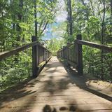 Pokagon State Park